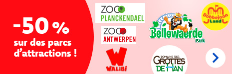 -50 % sur des parcs d’attractions !