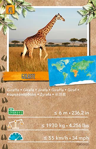 Carte Wiltopia
