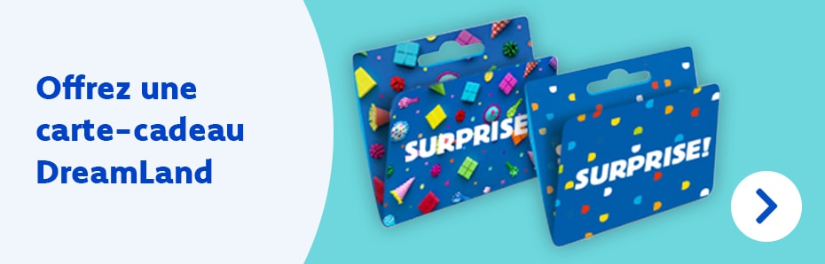 Offrez une carte-cadeau et offrez tout un magasin et un webshop en cadeau !