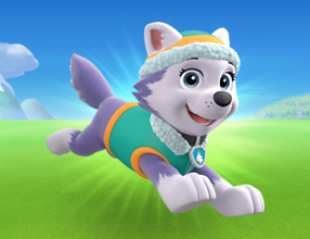 Everest PAW Patrol Everest PAW Patrol