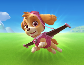 Skye PAW Patrol Skye PAW Patrol