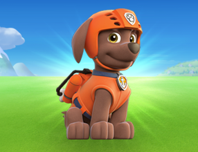 Zuma PAW Patrol Zuma PAW Patrol